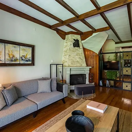 Splendid Surrounded By Nature In Sapanca Willa