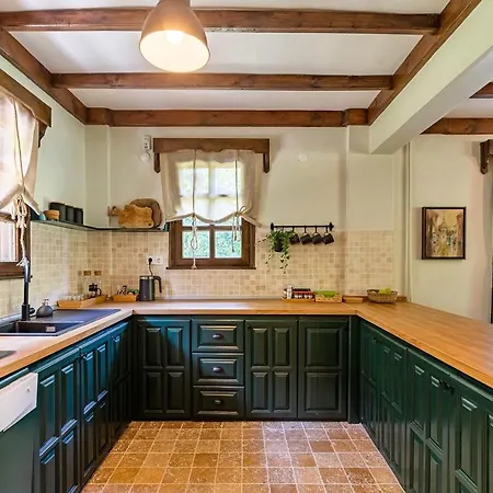 Splendid Surrounded By Nature In Sapanca Sakarya (Marmara)